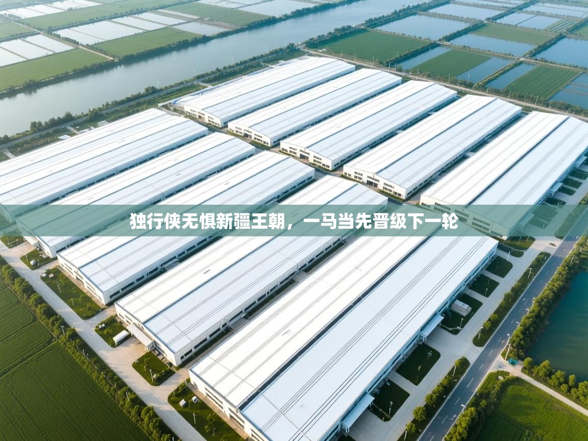 独行侠无惧新疆王朝,一马当先晋级下一轮 第1张