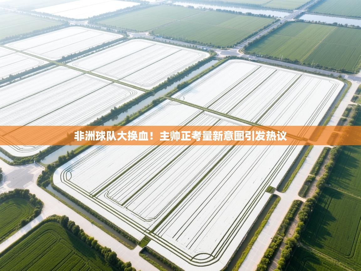 非洲球队大换血!主帅正考量新意图引发热议 第1张